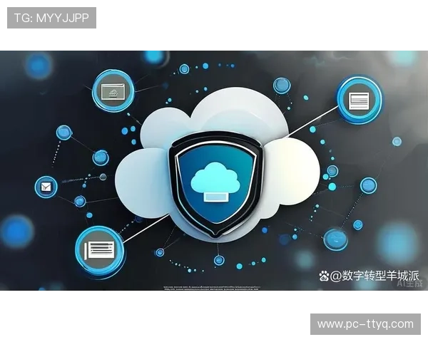 数字安全防护体系升级 应对网络安全威胁